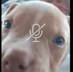 Gia the creator <3