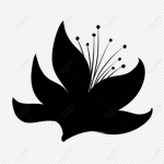 {FIREFORM}