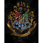 The Wizarding World Group