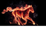 Fire Equestrian.
