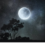 Moon Stars official group