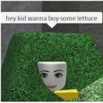 Sweet Lettuce