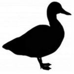 duck miner
