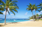-*-Hawaiian clothing boutique-*-