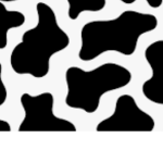 cows lovely closet
