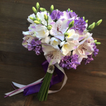 lilacs cute