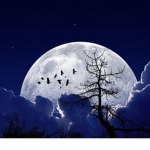 Midnight Dream