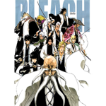 ๖̶̶̶ۣۣۜۜ͜ζ͜͡Captains Of The ๖̶̶̶ۣۣۜۜ͜ζ͜͡Gotei 13
