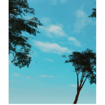 Small island (closed)