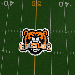 Xcel Energy Stadium