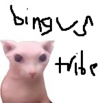 Bingus Tribe