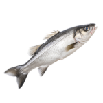 ElizaMoon