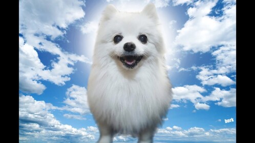 Gabe: Don't Bork Me Now