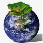 Froggys rule the world