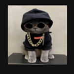 RISE OF THE MINIOINS