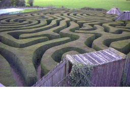 Speed Maze (Beta)