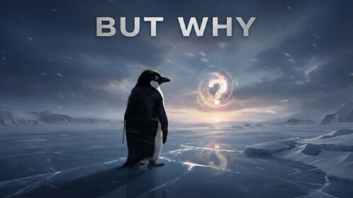 Peki Neden? (Nihilist Penguen)