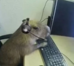 Too Many Visits