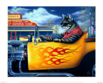 kool kats