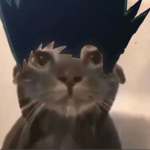 Sebastion Army