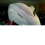 sharky's club