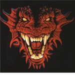 The Dragon Warrior Academy