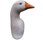 Rise of The Goose Clan Army!