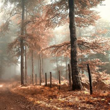 September Vibes