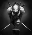 secret ninja