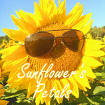 Sunflower's Petals Group Thumbnail