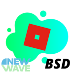 BSD Boy's Swim And Dive