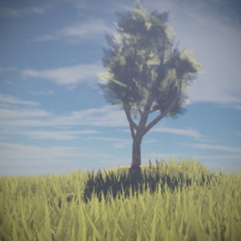 •Wooden O, Cabin SHOWCASE