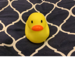 King quack