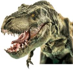 DINOS GROUPS