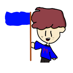 Captura la bandera¡