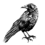 Corvus Warriors