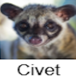 animalicscents.com