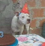 Banditka.rbx.FANS