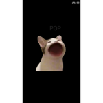 Si-e-m-k-a- - To Polska -g-r-u-p-a-