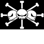 The Black Beard Pirates