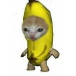 NO MORE BANANA ABUSE