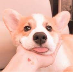 Cute x HomeStore