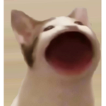 BallTos