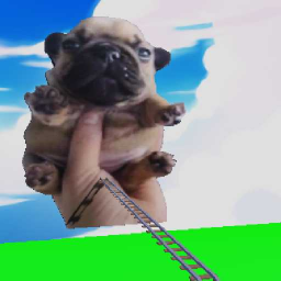 Cart Into Pibble
