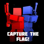 Capture The Flag! (THE GROUP)