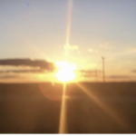 sunnysunsets