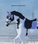 Equestrian lover academy