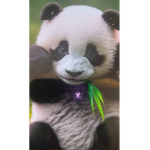 Panda Gaming Squad!