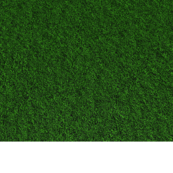 Touch some grass!