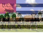 UCM (United Cow Military)